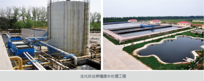 养殖废水处理